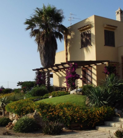Il Giardino Delle Aloe